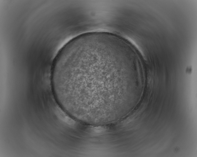 X0000092221460200709281033