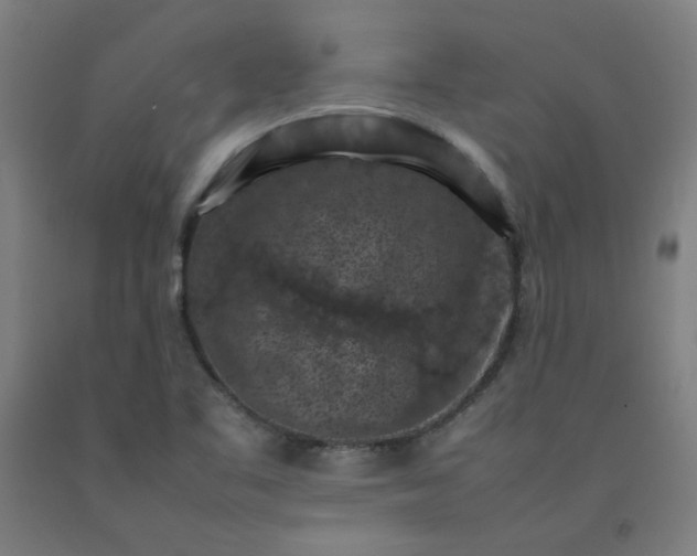 X0000092221461200709281033
