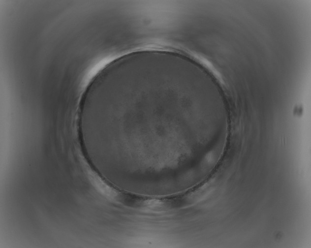 X0000092221463200709281033