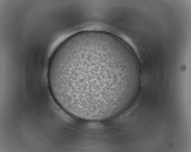 X0000092221464200709281033