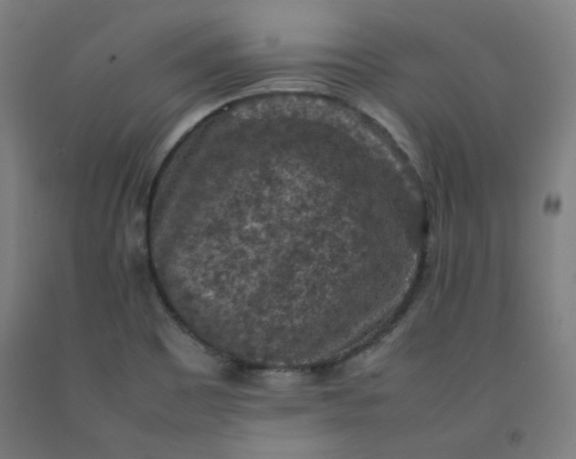 X0000092221465200709281033