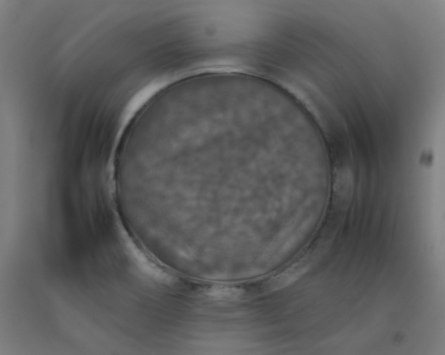 X0000092221466200709281033