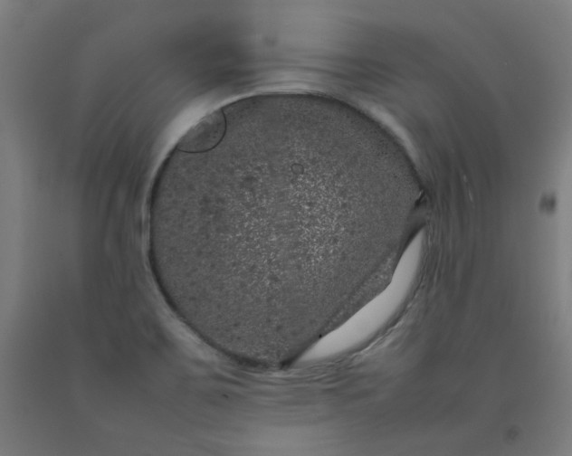 X0000092221467200709281033