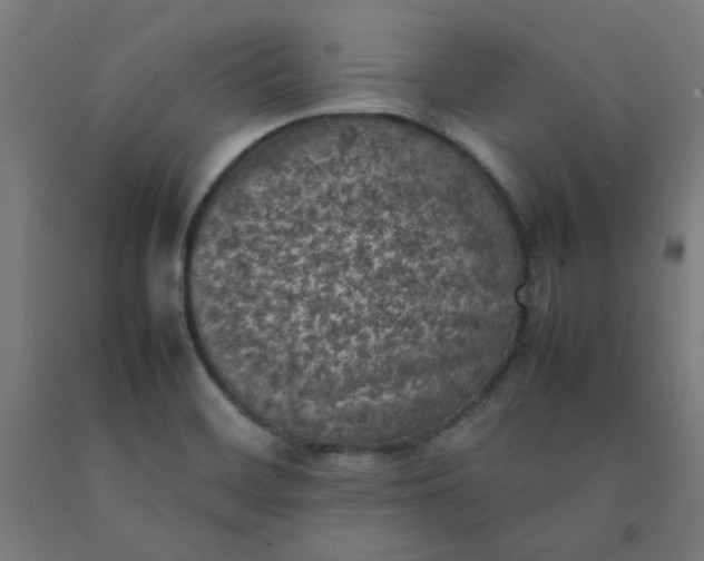 X0000092221468200709281033