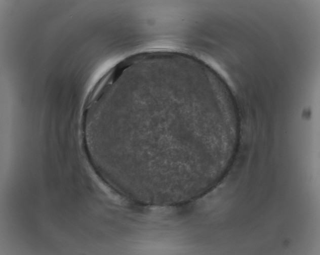 X0000092221469200709281033
