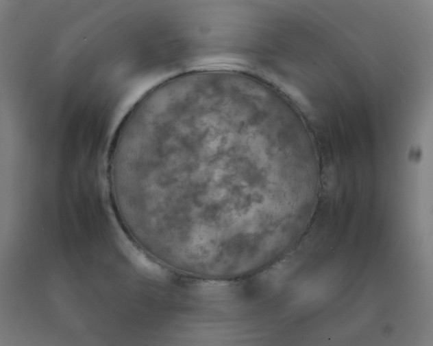 X0000092221470200709281033