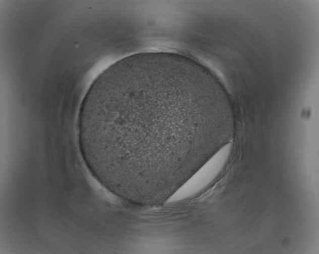 X0000092221471200709281033