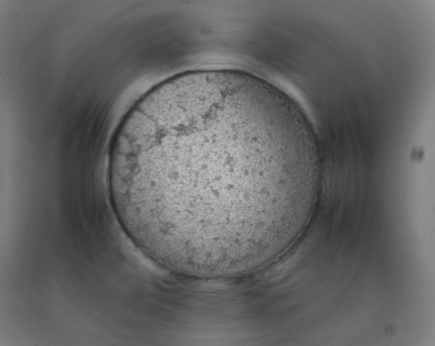 X0000092221472200709281033