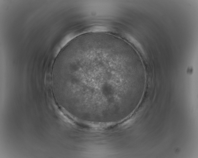 X0000092221473200709281033