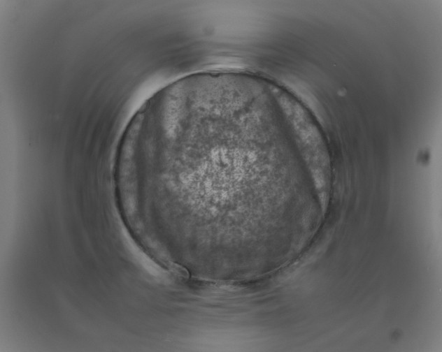 X0000092221475200709281033
