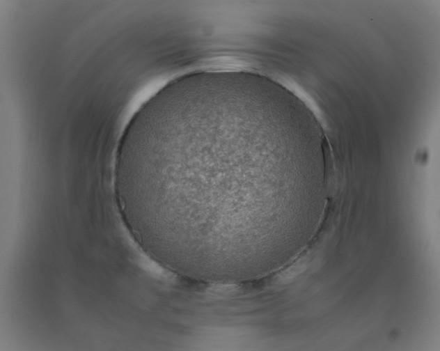 X0000092221477200709281033