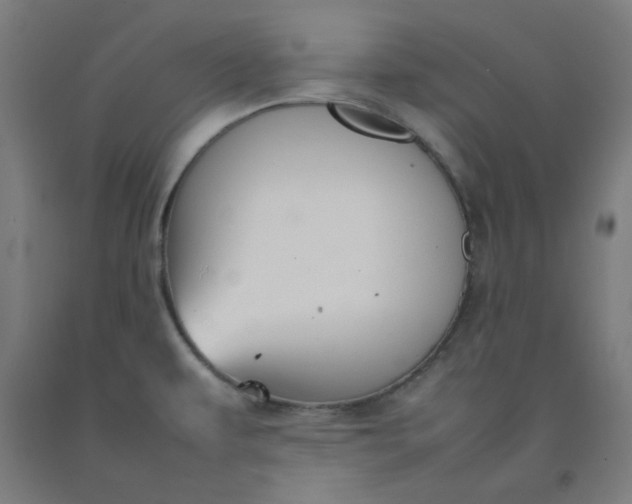 X0000092221479200709281033