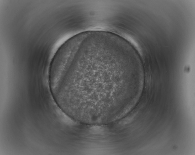 X0000092221480200709281033