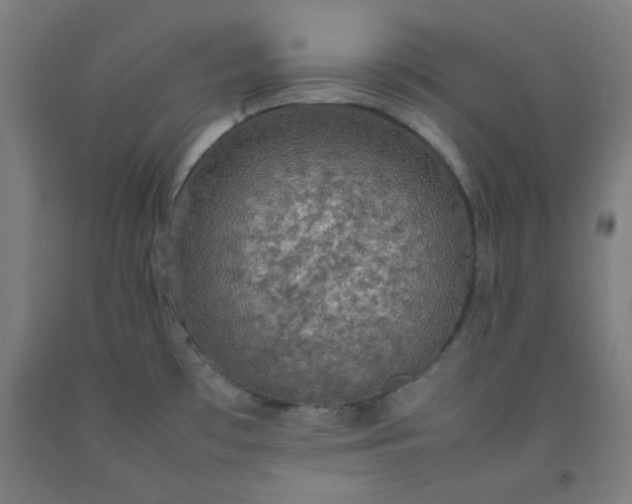 X0000092221481200709281033