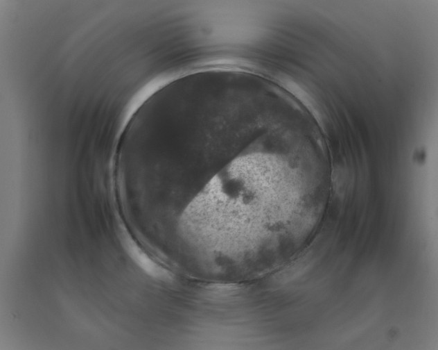 X0000092221482200709281033