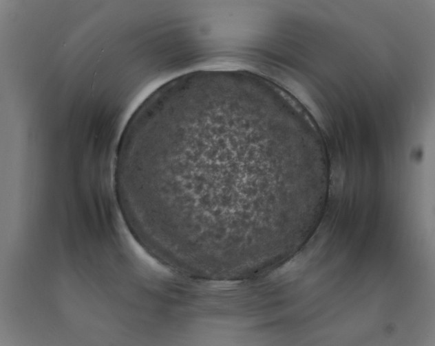 X0000092221484200709281033
