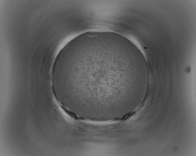 X0000092221485200709281033