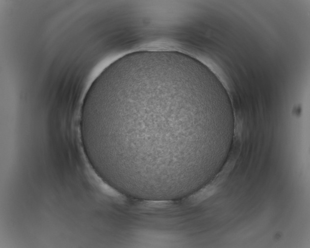 X0000092221486200709281033
