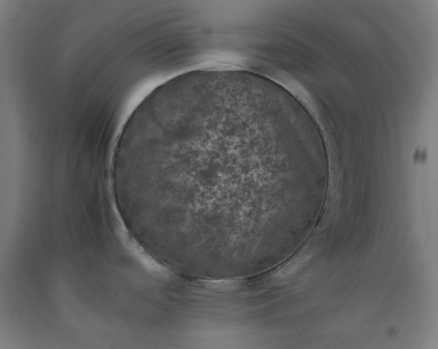X0000092221488200709281033
