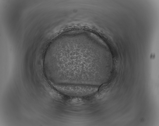 X0000092221489200709281032
