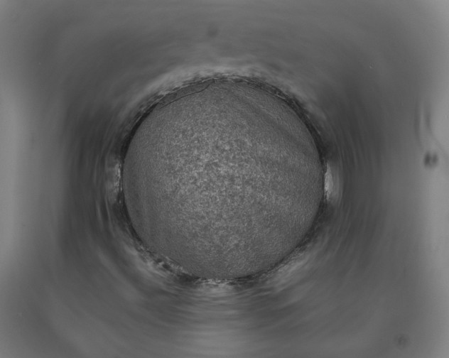 X0000092221492200709281032