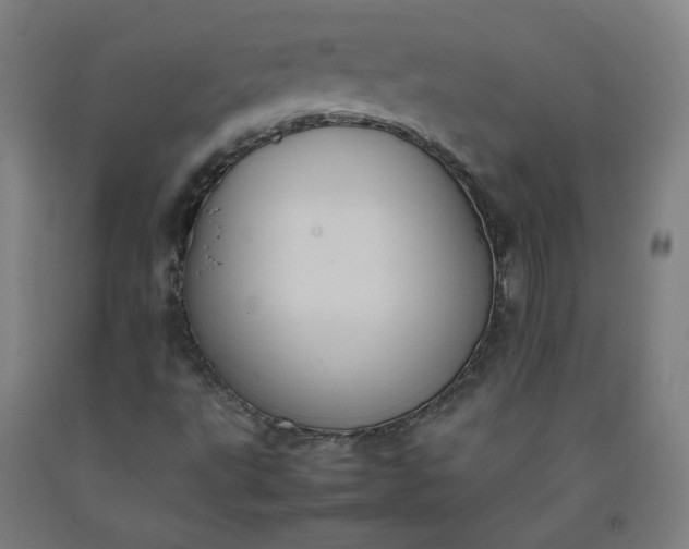X0000092221495200709281032