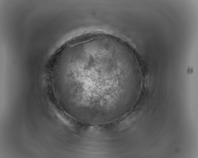 X0000092221496200709281032