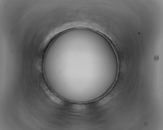 X0000092221499200709281032