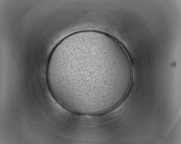 X0000092221500200709281032