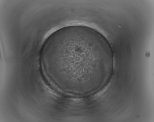 X0000092221501200709281033