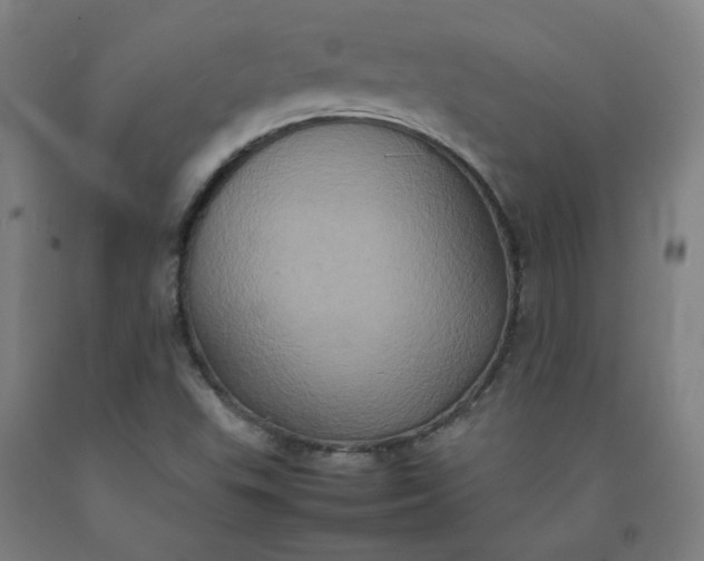 X0000092221503200709281033
