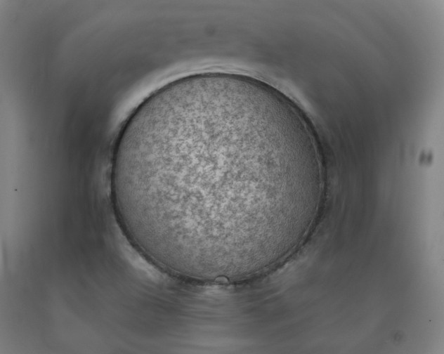 X0000092221504200709281033