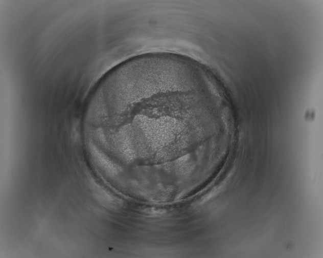 X0000092221505200709281033