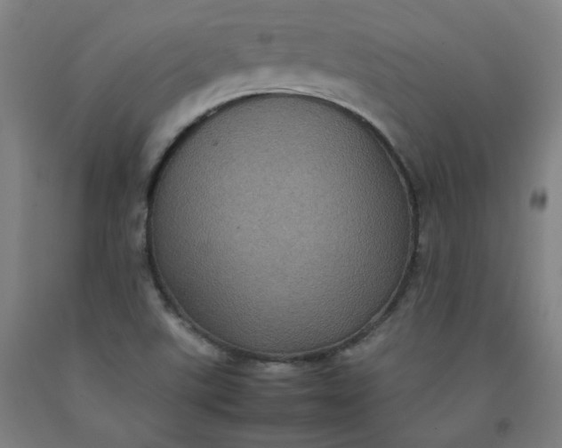X0000092221507200709281033