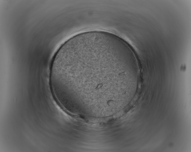 X0000092221508200709281033