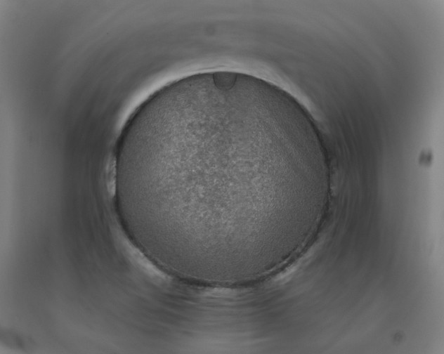 X0000092221510200709281033