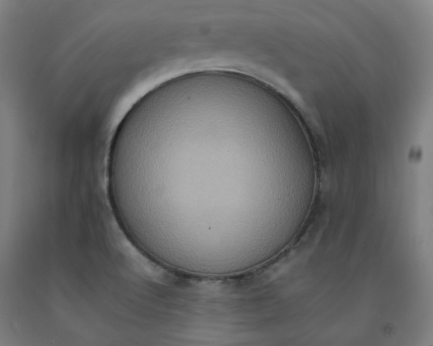 X0000092221512200709281033