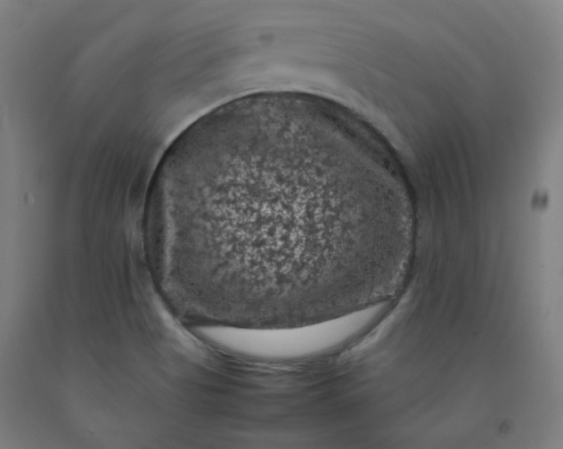 X0000092221513200709281033