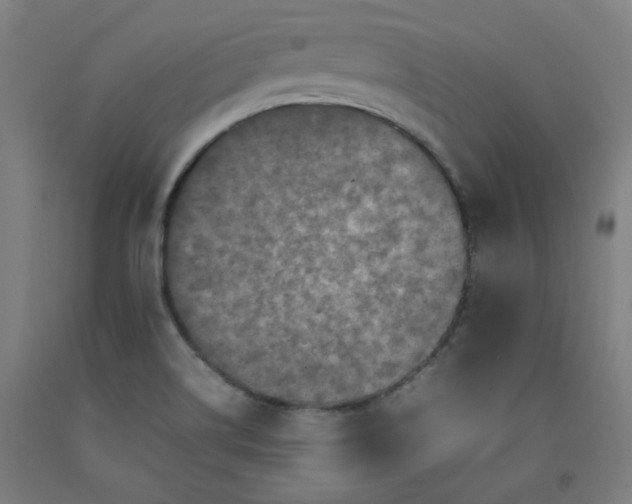 X0000092221514200709281033