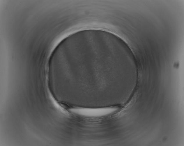 X0000092221515200709281033