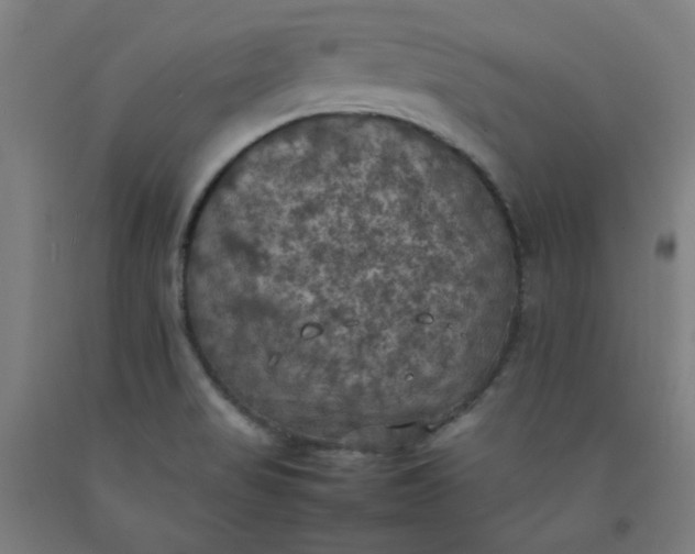 X0000092221517200709281033