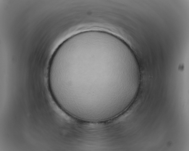 X0000092221518200709281033
