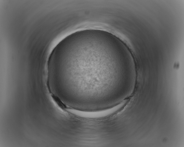 X0000092221520200709281033