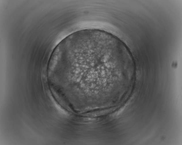 X0000092221521200709281033
