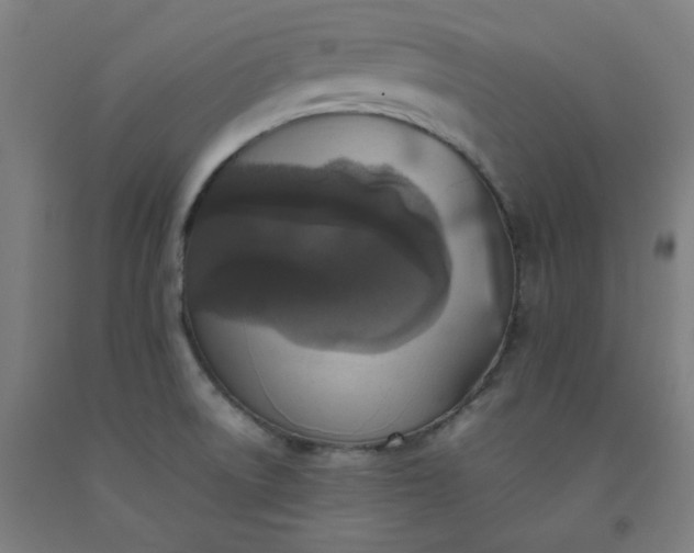 X0000092221522200709281033