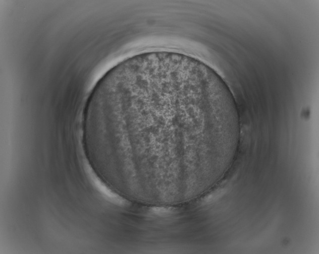 X0000092221523200709281033