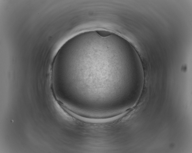 X0000092221524200709281033