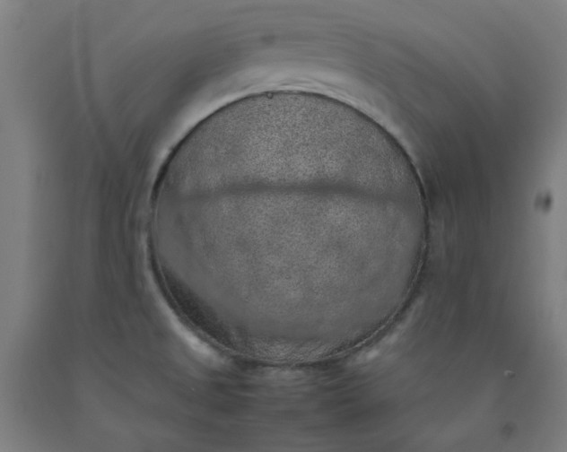 X0000092221525200709281033