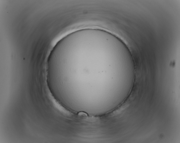X0000092221526200709281033