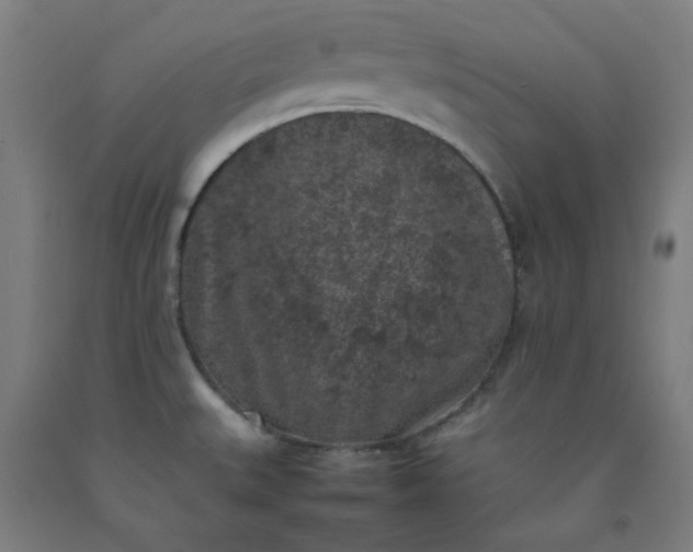X0000092221527200709281033